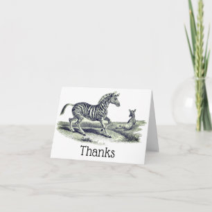 Vintage Art Zebra And Foal Thank You Card