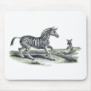 Vintage Art Zebra And Foal Wildlife Mouse Pad