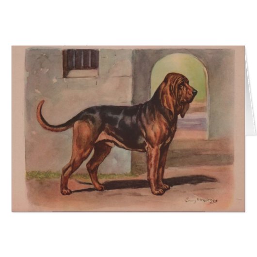Vintage Artwork - Bloodhound Dog, (Front Horizontal)