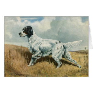 Vintage Artwork - English Setter Dog, Cards