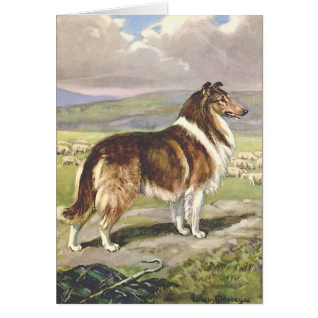 Vintage Artwork - Rough Collie Dog, Cards (Front)