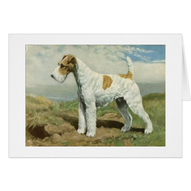 Vintage Artwork - Wire Fox Terrier Dog, (Front Horizontal)