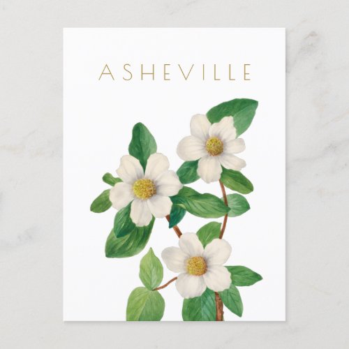 Vintage Asheville flower travel mid century  Postcard
