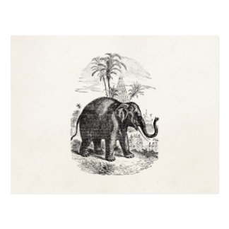 Asian Elephant Postcards | Zazzle