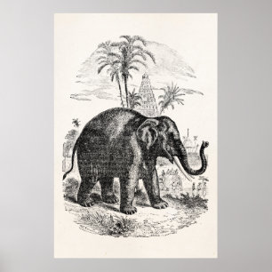 Vintage Asian Elephant Personalized Elephants Poster