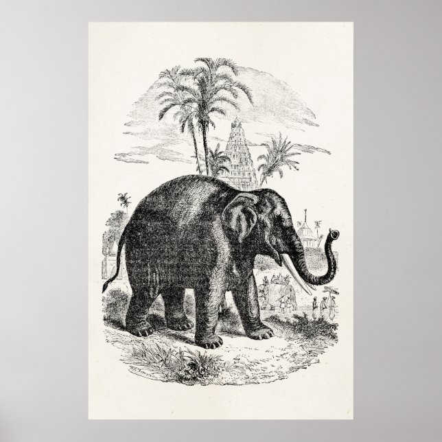 Vintage Asian Elephant Personalized Elephants Poster (Front)