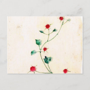 Vintage Asian Prints Postcard