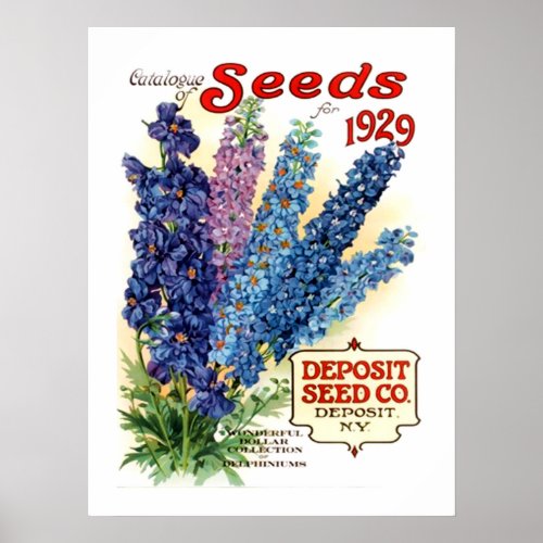 Vintage Assorted Delphiniums Seed Packet Poster