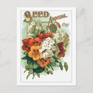 Vintage Assorted Flowers Seed Packet Postcard