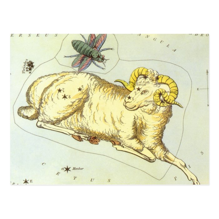Vintage Astrology Aries Ram Constellation Zodiac Postcard