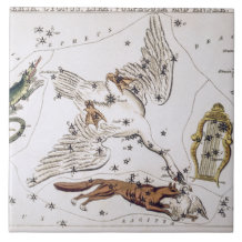 Vintage Astronomical Map