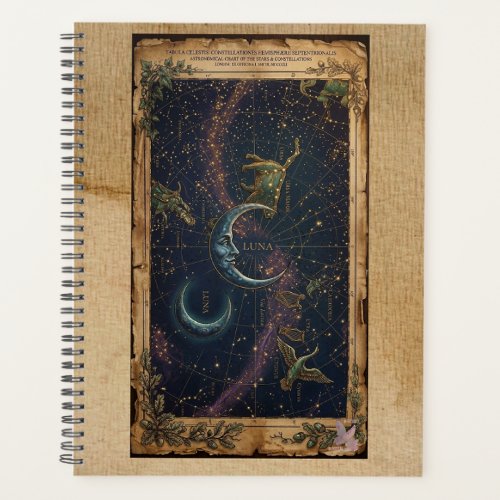 Vintage Astronomical Star Chart Celestial Antique Planner