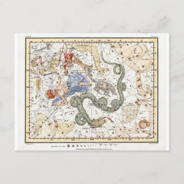 Vintage Astronomy Constellations Map Postcard (Front)