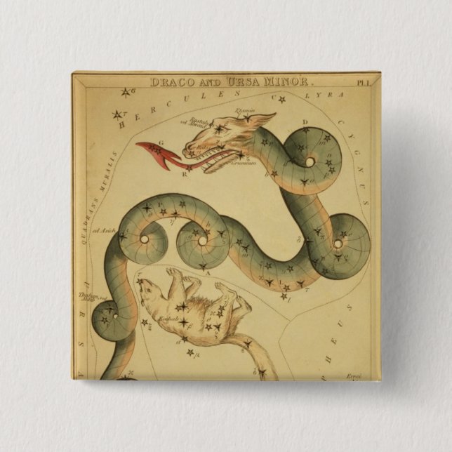 Vintage astronomy print Draco & Ursa Minor Button (Front)