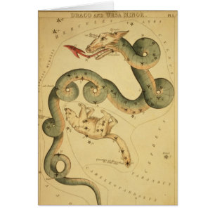 Vintage astronomy print Draco & Ursa Minor Cards