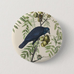 Vintage Audubon American Crow Bird Nature Art Button