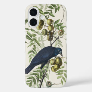 Vintage Audubon American Crow Bird Nature Art iPhone 16 Case