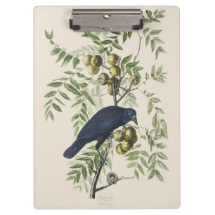 Vintage Audubon American Crow Bird Nature Art Clipboard