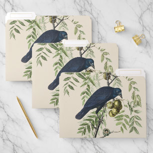 Vintage Audubon American Crow Bird Nature Art File Folder