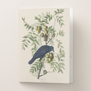 Vintage Audubon American Crow Bird Nature Art Pocket Folder