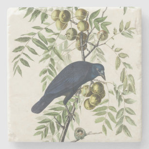 Vintage Audubon American Crow Bird Nature Art Stone Coaster