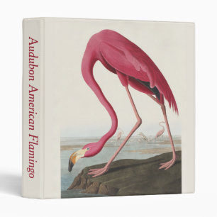 Vintage Audubon American Flamingo Pink Bird Art 3 Ring Binder