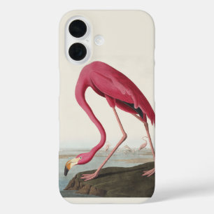 Vintage Audubon American Flamingo Pink Bird Art iPhone 16 Case