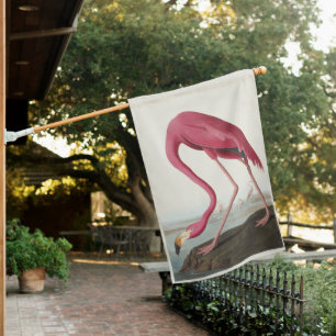 Vintage Audubon American Flamingo Pink Bird Art House Flag