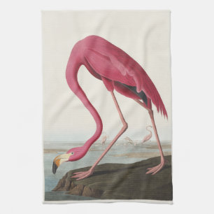 Vintage Audubon American Flamingo Pink Bird Art Kitchen Towel
