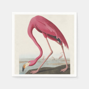 Vintage Audubon American Flamingo Pink Bird Art Napkins