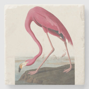 Vintage Audubon American Flamingo Pink Bird Art Stone Coaster