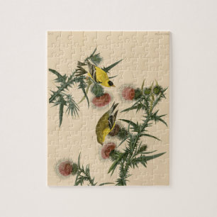 Vintage Audubon American Goldfinch Bird Painting Jigsaw Puzzle