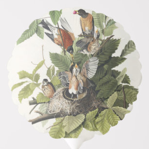 Vintage Audubon American Robin Bird Nest Art Balloon