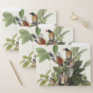 Vintage Audubon American Robin Bird Nest Art File Folder