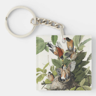Vintage Audubon American Robin Bird Nest Art Keychain