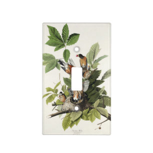 Vintage Audubon American Robin Bird Nest Art Light Switch Cover