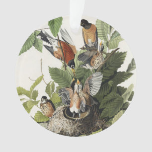 Vintage Audubon American Robin Bird Nest Art Ornament