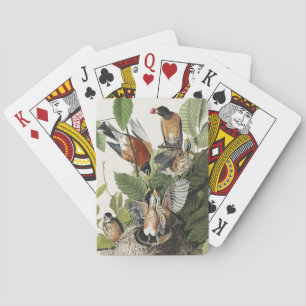 Vintage Audubon American Robin Bird Nest Art Poker Cards