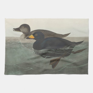 Vintage Audubon American Scoter Duck Bird Art Kitchen Towel