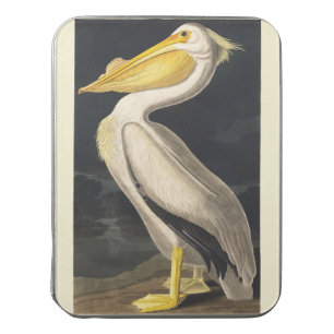 Vintage Audubon American White Pelican Bird Art Jigsaw Puzzle