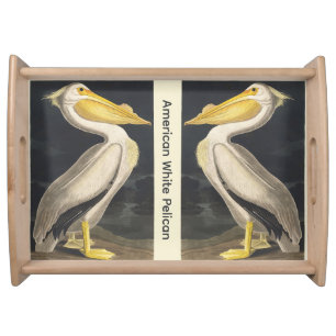 Vintage Audubon American White Pelican Bird Art Serving Tray