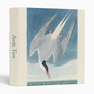 Vintage Audubon Arctic Tern Coastal Bird Art 3 Ring Binder