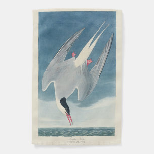 Vintage Audubon Arctic Tern Coastal Bird Art Garden Flag