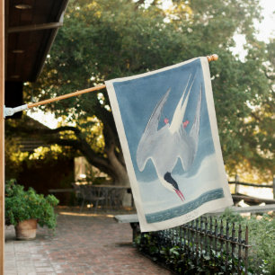 Vintage Audubon Arctic Tern Coastal Bird Art House Flag