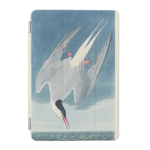 Vintage Audubon Arctic Tern Coastal Bird Art iPad Mini Cover