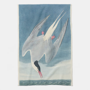 Vintage Audubon Arctic Tern Coastal Bird Art Kitchen Towel