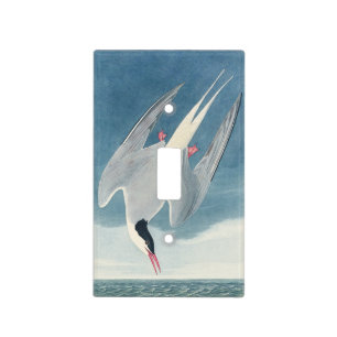 Vintage Audubon Arctic Tern Coastal Bird Art Light Switch Cover