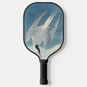 Vintage Audubon Arctic Tern Coastal Bird Art Pickleball Paddle
