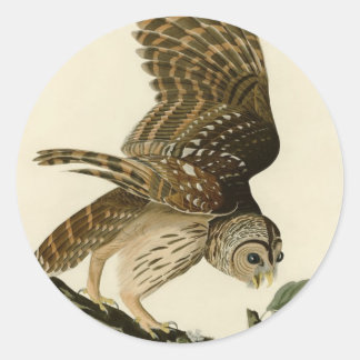 Vintage Audubon Barred Owl Hunting Bird Gift Classic Round Sticker
