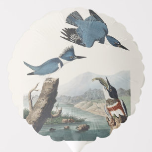 Vintage Audubon Belted Kingfisher Bird Art Balloon